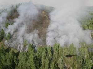 Дым от лесных пожаров. Фото: http://ntv.ru