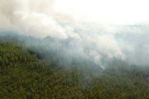 Дым от лесных пожаров. Фото: http://www.uznayvse.ru