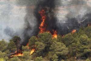 Лесные пожары на Канарских островах. Фото: http://svetiteni.com.ua