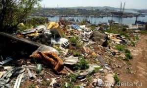 Несанкционированным мусором в столице Приморья заинтересовалась прокуратура. Фото: Дейта.Ru