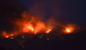 В США бушуют более 80 лесных и степных пожаров. Фото: Голос России