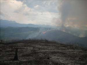 Сжигание тропического леса в Атлантическом национальном парке Бразилии (фото Gustavo Luna Peixoto / ICMBio).