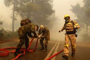 Лесные пожары в Греции. Фото: http://obozrevatel.ua