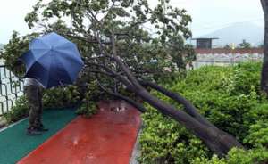 Тайфун &quot;Болавен&quot; в Хабаровском крае. Фото: http://www.itar-tass.com