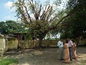 Хотя священник и монахиня, подрезая деревья, заботились о воде для школы и учеников, их обвинили в нанесении ущерба дикой природе. Фото: http://www.ucanindia.in/
