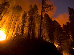Лесной пожар. Фото: http://www.gismeteo.ru
