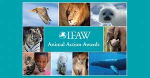 Международный природоохранный фонд IFAW. Фото: http://www.animalfriends.org.uk