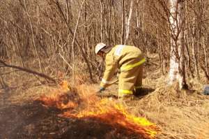 Выжигание сухой травы. Фото: http://bezformata.ru