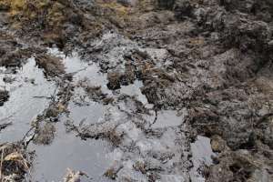 Загрязнение почвы нефтепродуктами. Фото: http://mosaica.ru