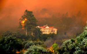 Лесные пожары в Европе. Фото: http://daypic.ru
