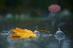 Осень, дождь. Фото: http://www.nasha.lv
