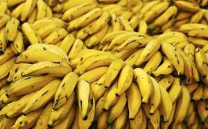 Бананы. Фото: http://www.factroom.ru