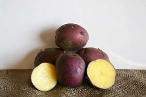 Картофель сорта “Peter Wilcox” отличается характерной пурпурной кожицей и жёлтой мякостью. Фото с сайта sciencedaily.com