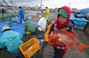 Увы, эту аппетитную сериолу из окрестностей Фукусимы есть нельзя. (Фото EPA / Everett Kennedy Brown.)