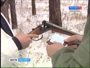 Более тысячи красноярцев будут наказаны за браконьерство. Фото: Вести.Ru