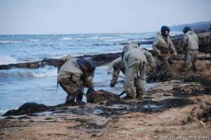Волонтеры очищают берег Керченского пролива после разлива нефти. Фото: WWF 