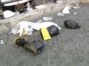 Учёные призывают признать пластик токсичными отходами. Фото: Вести.Ru