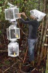 Герметичные камеры позволили оценить истинную роль деревьев в продуцировании метана. Фото: sciencedaily.com