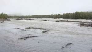 Паводок в Приморье. Фото: http://news.rambler.ru