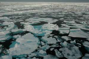 Сезонное оледенение Чукотского моря. Фото: sciencedaily.com