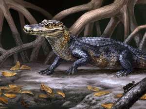 Culebrasuchus mesoamericanus (изображение Danielle Byerley / Florida Museum of Natural History).