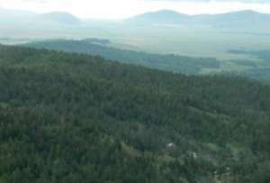 Минприроды РФ обязали обеспечить охрану лесов национального парка «Алханай». Фото: http://greenpressa.ru