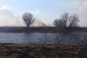Сезон пожаров на юге России можно считать открытым. Фото с сайта Greenpeace 