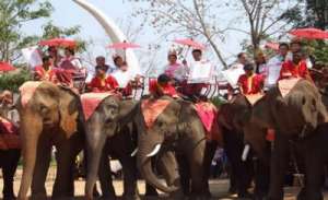 Слоны в Таиланде. Фото: http://asiasabai.ru