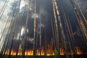 Лесной пожар. Фото: http://21region.org