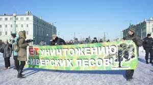 Пикеты в защиту Сиверского леса. Фото из соцсети Вконтакте