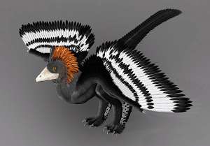 Anchiornis huxleyi, реконструкция Джейкоба Винтера и его коллег (изображение ImagineChina / Corbis).