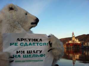 Белые медведи пытаются остановить платформу Statoil в Норвегии. Фото: Greenpeace