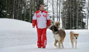 В Кремле объяснили, почему пожилой лабрадор Конни не участвовал в фотосессии Путина с его собаками. Фото с сайта &quot;Голос России&quot;