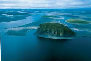 Биоразнообразие на островах. Фото: http://www.zelife.ru