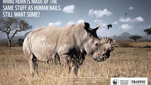 Фото: WWF 