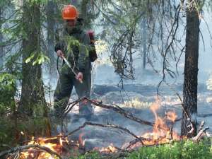 Лесные пожары. Фото: http://www.aviales-rkomi.ru