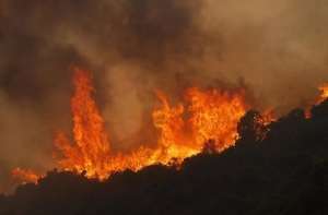 Лесные пожары в Турции. Фото: http://delfi.ua