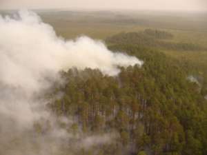 Лесной пожар на Камчатке. Фото: http://fedpress.ru