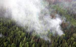 За сутки в России потушено 70 лесных пожаров. Фото: lesvesti.ru