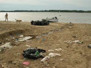 На берегах рек и озёр Ленобласти началась большая уборка пляжей. Фото: sgpress.ru