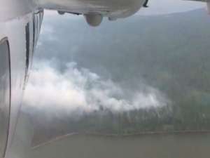 Леса в Якутии горят все сильнее. Фото: vesti.ru