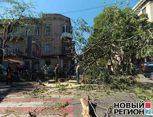 Экологи советуют готовиться к повторению разрушительных ураганов в Одессе. Фото: nr2.ru