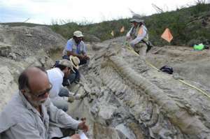 Палеонтологи работают на раскопках вблизи города Генерал Сепеда (фото AP Photo/INAH-Mauricio Marat).