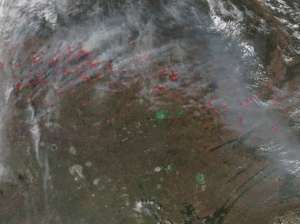 Рослесхоз планирует увеличить число спутников для космомониторинга лесных пожаров. Фото: http://lesvesti.ru