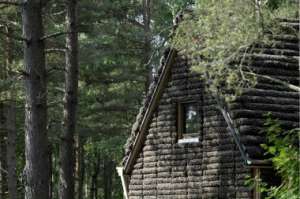 В Дании построили уникальный дом из водорослей. Фото: http://www.dp.ru