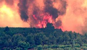 Лесные пожары в США. Фото: http://ruvr.ru