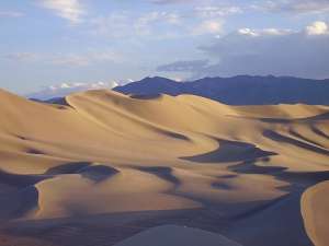 Дюны Дюмонт в пустыне Мохаве (фото Nathalie Vriend).