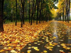 Холодная осень. Фото: http://vgorode.ru
