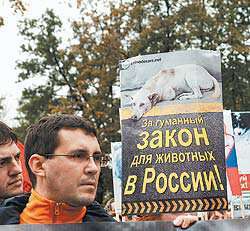В Москве прошел митинг против законопроекта об убийстве бездомных животных. Фото: Новые Известия