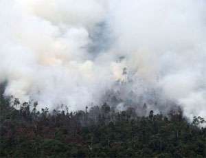 Лесные пожары на Суматре. Фото: http://nr2.ru